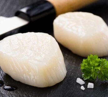 Frozen Scallops 1kg