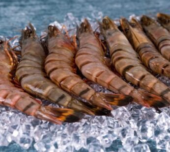 Frozen Jumbo Tiger Prawns 1kg