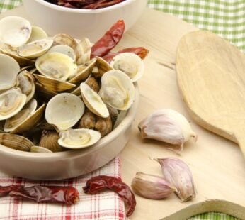 Fresh Clams 1kg