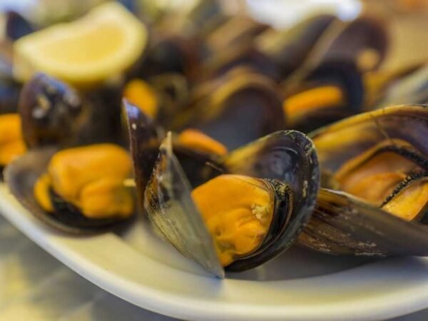 Fresh Live Mussels (2kg net bag)
