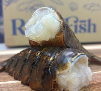 Frozen Lobster Tails (pack of 2)