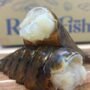 Frozen Lobster Tails (pack of 2)