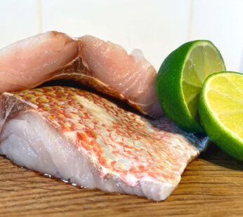 Red Snapper Fillets x 6 portions (160 -220g)