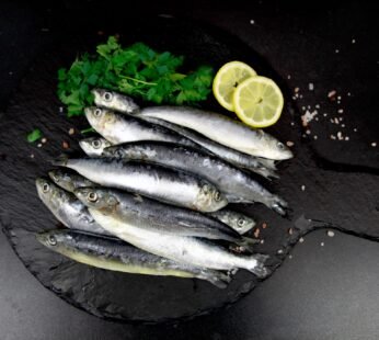 Whole Sardines -900g